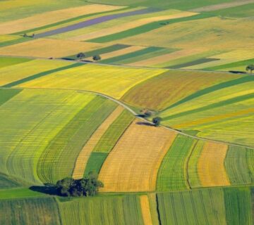 Váczi Ügyvédi Iroda – Győr-Tata – A termőföld elővásárlási jog gyakorlásának feltételei II.